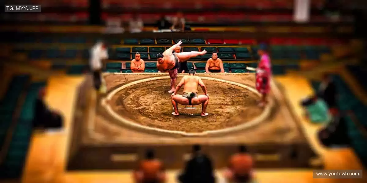 💪专业装备,品质之选!🏋️提升性能,超越自我!